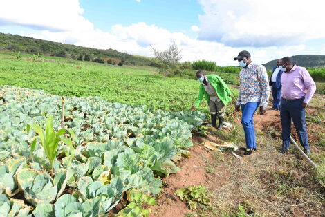 Deputy President William Ruto inspecting a farm in Kikuyu constituency. May 20, 2020.