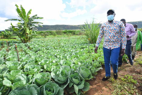 Deputy President William Ruto inspecting a farm in Kikuyu constituency. May 20, 2020.