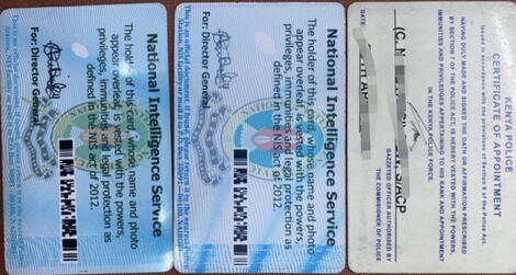 An image of fake IDs