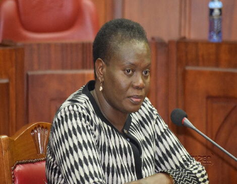 Undated image of Lands CS Farida Karoney during her vetting process at parliament buildings. 