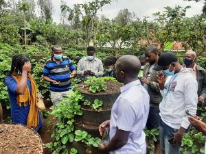 Agricultural experts next to a multi-storey garden