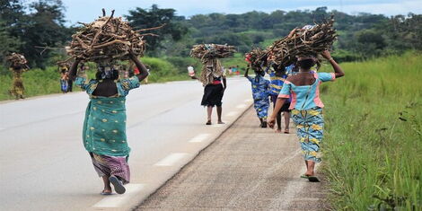 A photo of women carrying firewood