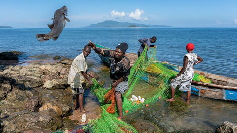 Fishermen offloading their catch in Kisumu.