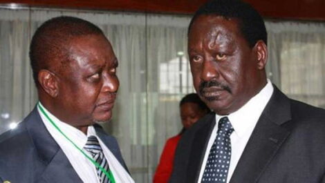 Former Prime Minister Raila Odinga (right) and his brother Oburu Odinga.
