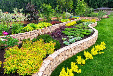 Different plants in a home garden during the beautification programme