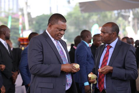 Attorney Genetral Justin Muturi (left) and Chief of Staff Felix Koskei converse moments before the launch of the Hustlers Fund at the Green Park Terminus on November 30, 2022. 