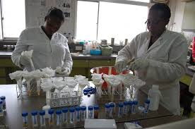 Kemri Employees carrying out Research in their Laboratories