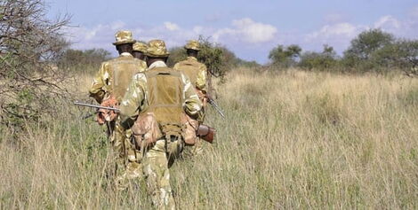 Undated image of KWS rangers on patrol