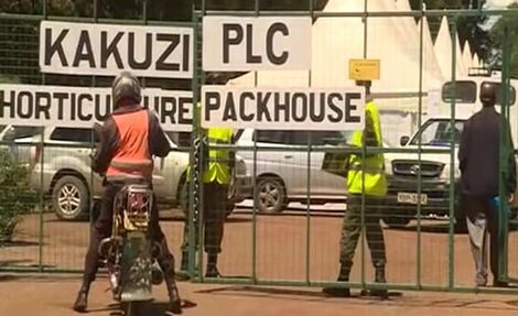 Kakuzi farm entry gate.