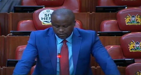 Kenya's Budget and Appropriations Committee Chairperson Kanini Kega speaking in Parliament on December 3, 2020.