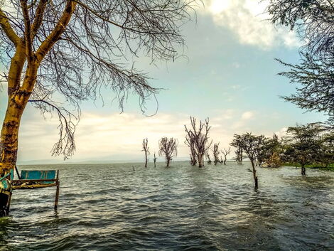 Lake Naivasha in Rift Valley