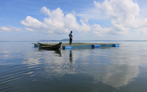 An image of a fisherman