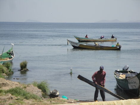 An image of boats