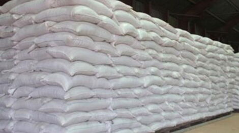 Undated image of maize stored in a warehouse