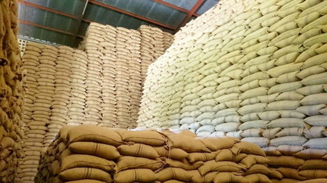 Bags of maize at an NCPB depot.