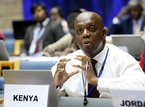 Kenya's Ambassador and Permanent Representative to the UN Martin Kimani