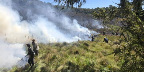 Fire burning part of Mt Kenya Forest as firefighters try to extinguish it