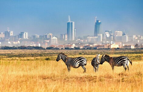 File image of the Nairobi National Park
