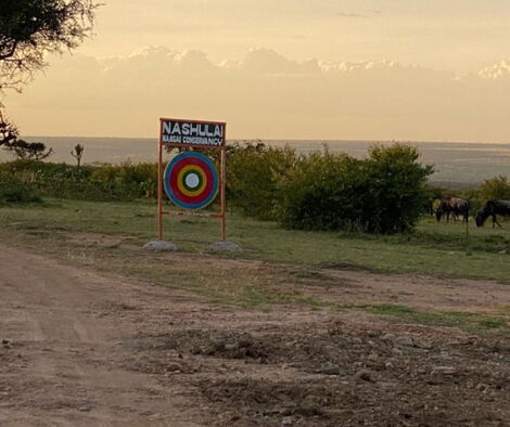A sign-board for Nashulai Maasai Conservancy