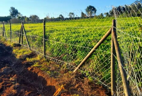 Fencing poles made from plastic waste by Noma Green Plastics
