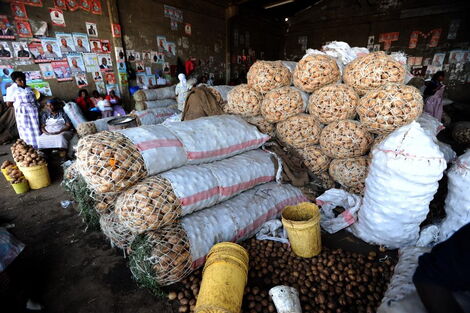 Different varieties of irish potatoes packed in sacks in a storage facility ready to be delivered to the market