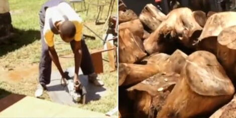 A collage image of Spencer Olaka welding at Rurigi Secondary school (LEFT) and a pile of firewood at the school in Uasin Gishu County (RIGHT).