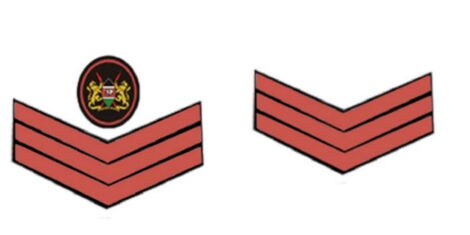Senior Sergeant badge and that of the sergeant