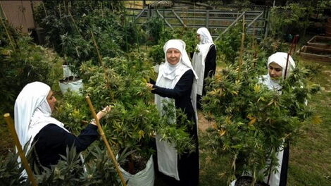 Sisters of the valley at their marijuana plantation in California.