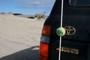 A tennis ball attached to a car's radio antenna.