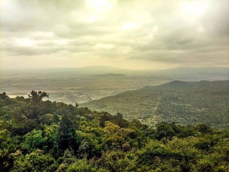 The great Rift Valley view point.