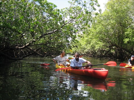Tourists Kayaking in Ramisi river in Funzi Island, Kwale county