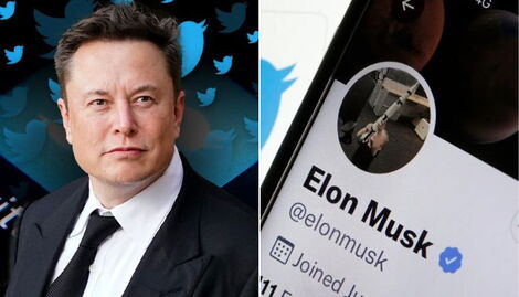 Twitter billionaire owner Elon Musk (right) and his verified account.