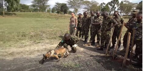 U.S. Service Members and Kenya Defense Force Conduct Military Working Dog Information Exchange. September 2018.