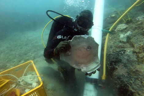 Undated Photo of Underwater Museum