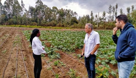MASHAV Israel Expert, Mr Hatzor (centre) inspects the farm of 2020 Finalist Rhoda Mukundi (left), accompanied by Counsel Royi Ende 