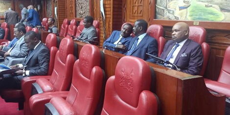 Back Row, From Right: Former Azimio Secretariat Spokesperson Prof Makau Mutua, ODM Leaderc Raila Odinga and Wiper Party Leader Kalonzo Musyoka appear in JLAC committee sessions in solidarity with the four dissenting IEBC commissioners. 
