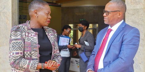 Lands Officials Secretly Recorded Moving Mass Files at Ardhi House [VIDEO]