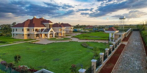 An image of the beautiful lawns surrounding Susan Kihika's house.