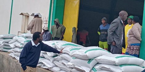 Farmers collect subsidized fertilizer at the NCPB depot in Eldoret on June 13, 2022