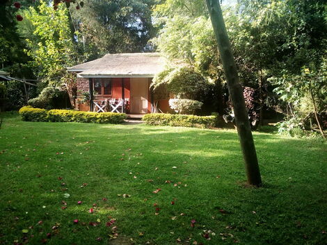 A home in Meru County among the country's popular online rental choices