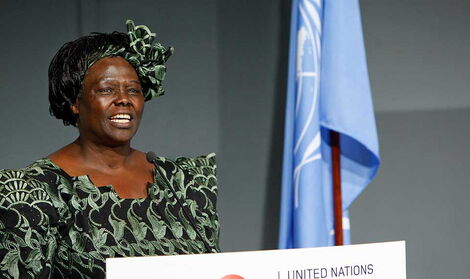 Wangari Mathai speaking at the UN, New York. September 26, 2011.