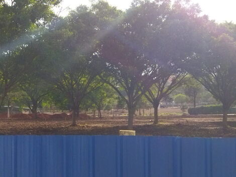 A photo of Nairobi's Uhuru Park pictured on Sunday, November 21.