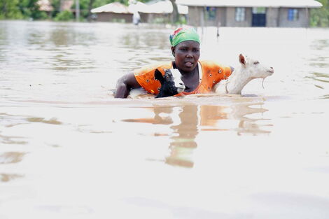 Woman attempts to cross through floods in Nyando while carrying her two goats on Wednesday, April 22, 2020.