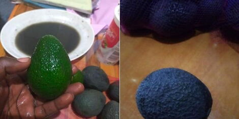 A collage of a painted avocado reportedly sold in Murang'a County as seen on Friday, November 26, 2021. 