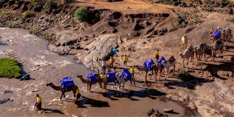 A file image of the CHAT Africa camels ferrying trunks of medication crossing the Ewaso River 