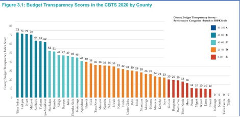 The County Budget Transparency Survey 2020 highlights performance of each individual county and a performance index that ranks counties from the most open to the most opaque on matters on public budgets. 