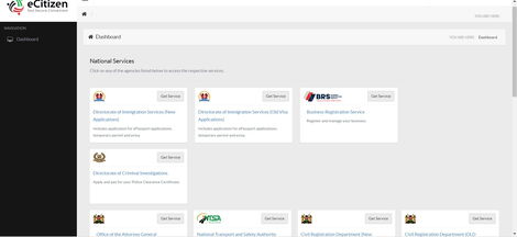 A screen grab of eCitizen portal