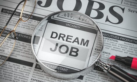 What you need to look for a job