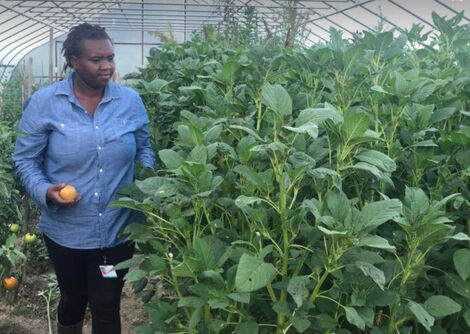 Henrietta Isaboke tending to her farm in the US.