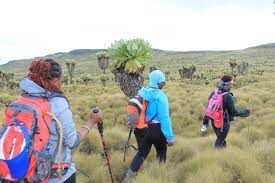 image of people hiking Dated August 22,2018